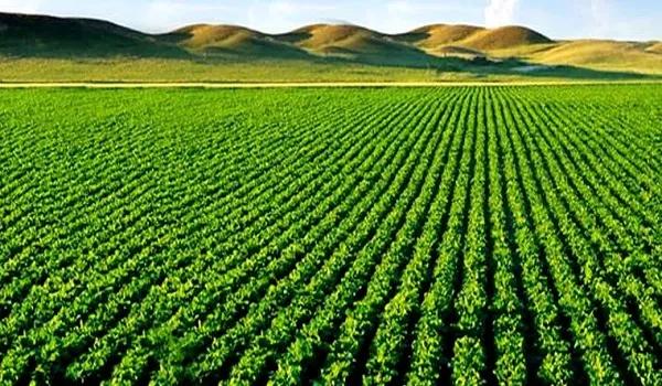 Farm pic Alwar