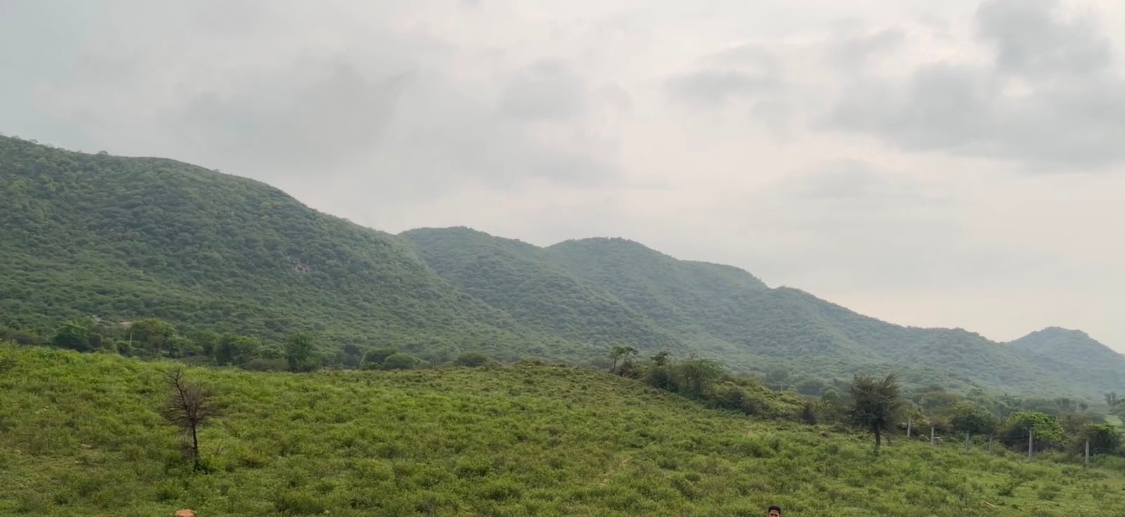 WhatsApp Image 2026-08-19 at 2.42.49 PM (1) Resort/Hotel Land Thanagazi