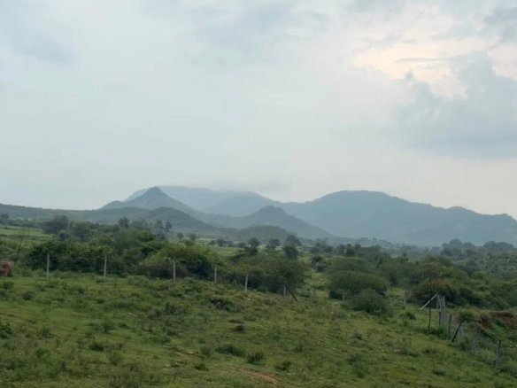 Resort/Hotel Land Thanagazi